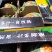 精品无籽美都