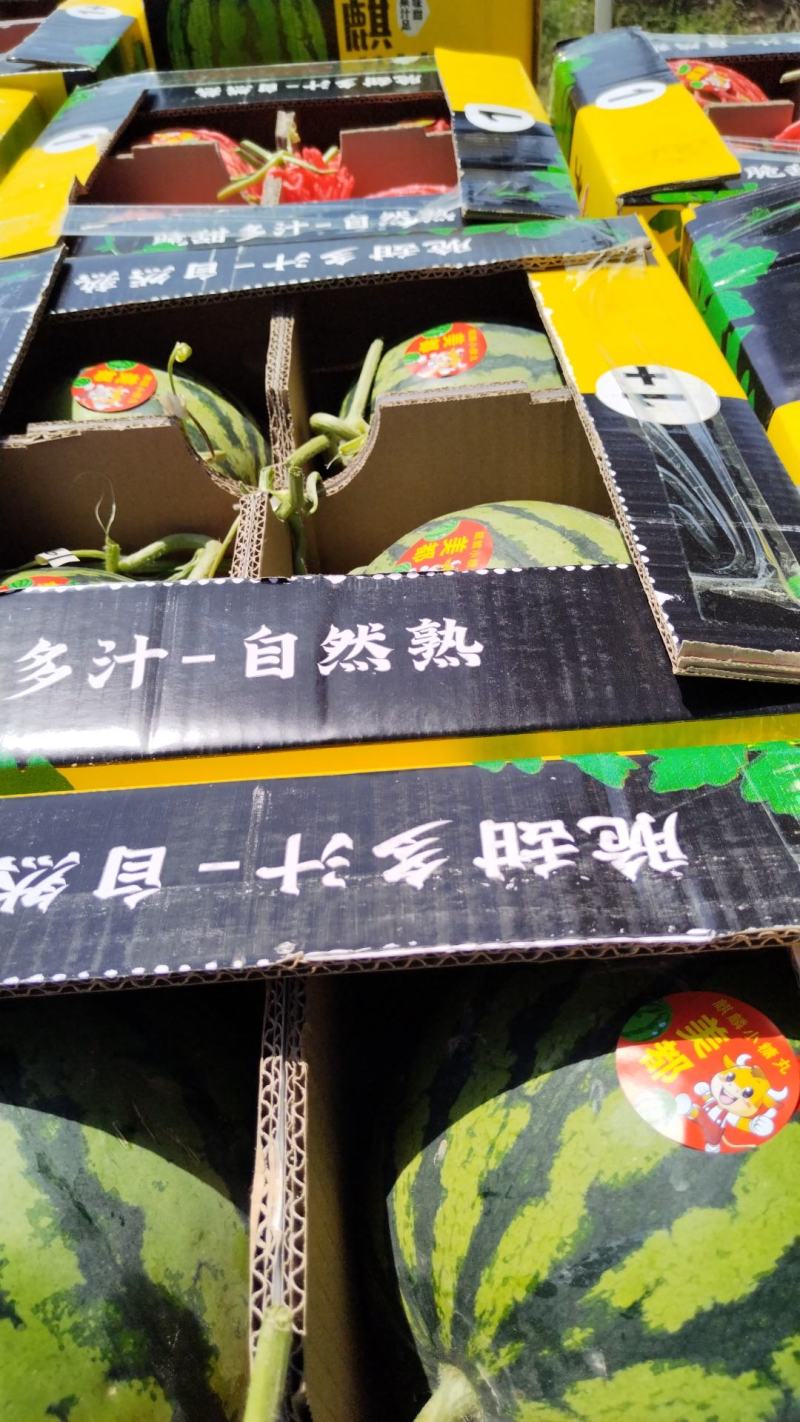 精品无籽美都