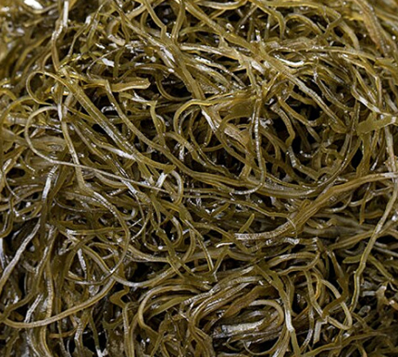 特细海带丝干货牛肉面专用横切海带丝团凉拌商用整袋霞浦特产