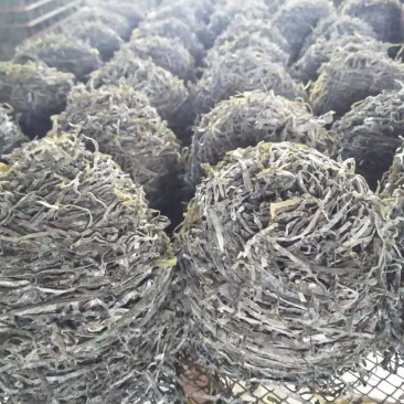 特细海带丝干货牛肉面专用横切海带丝团凉拌商用整袋霞浦特产