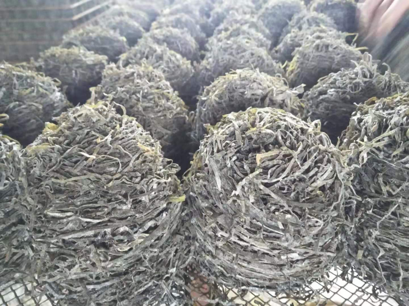 特细海带丝干货牛肉面专用横切海带丝团凉拌商用整袋霞浦特产