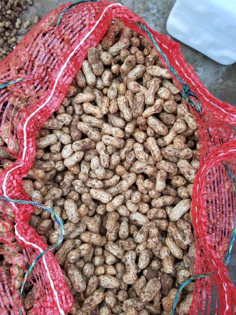 【精品花生】一手货源，承接社区团购平台货市场货各种