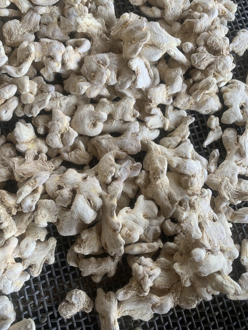 罗平板桥小黄姜姜个