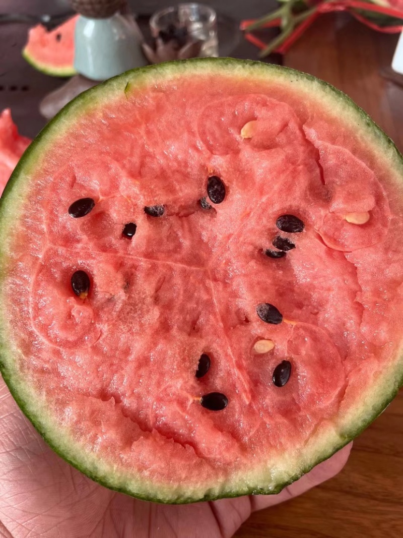【实力热卖】全美2K小糖丸西瓜🍉皮薄多汁，红瓤黑籽。