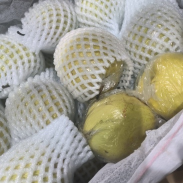 热卖！隰县玉露香梨口感好销量高全国发货一条龙服务