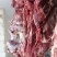 牛肉