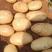 土豆优质内蒙古V7土豆产地直发诚信代收量大优惠