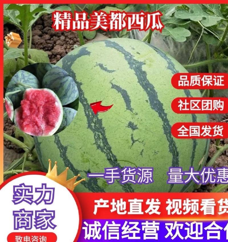 河南精品美都西瓜，品质保证，一手货源，欢迎订购，