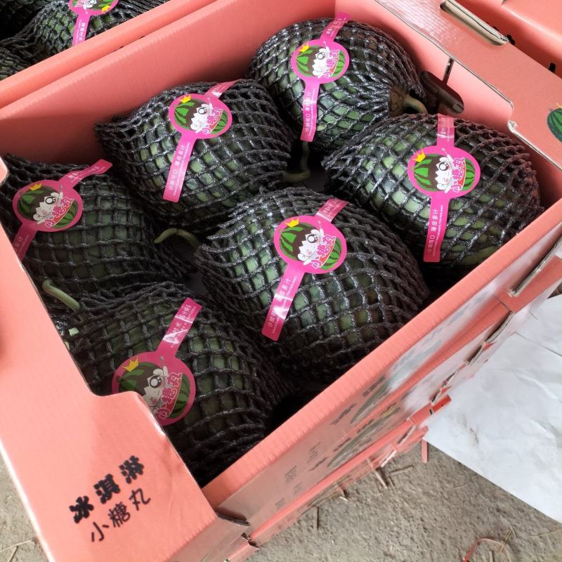 早春红玉瓜，2K，鲜瓜口感脆甜，含糖量高，保熟保甜。