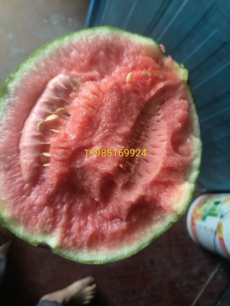 大量上市中