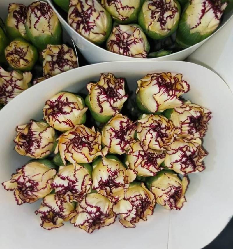 鲜花切康乃馨昆明产地供货，货源充足量大从优，不同颜色都有