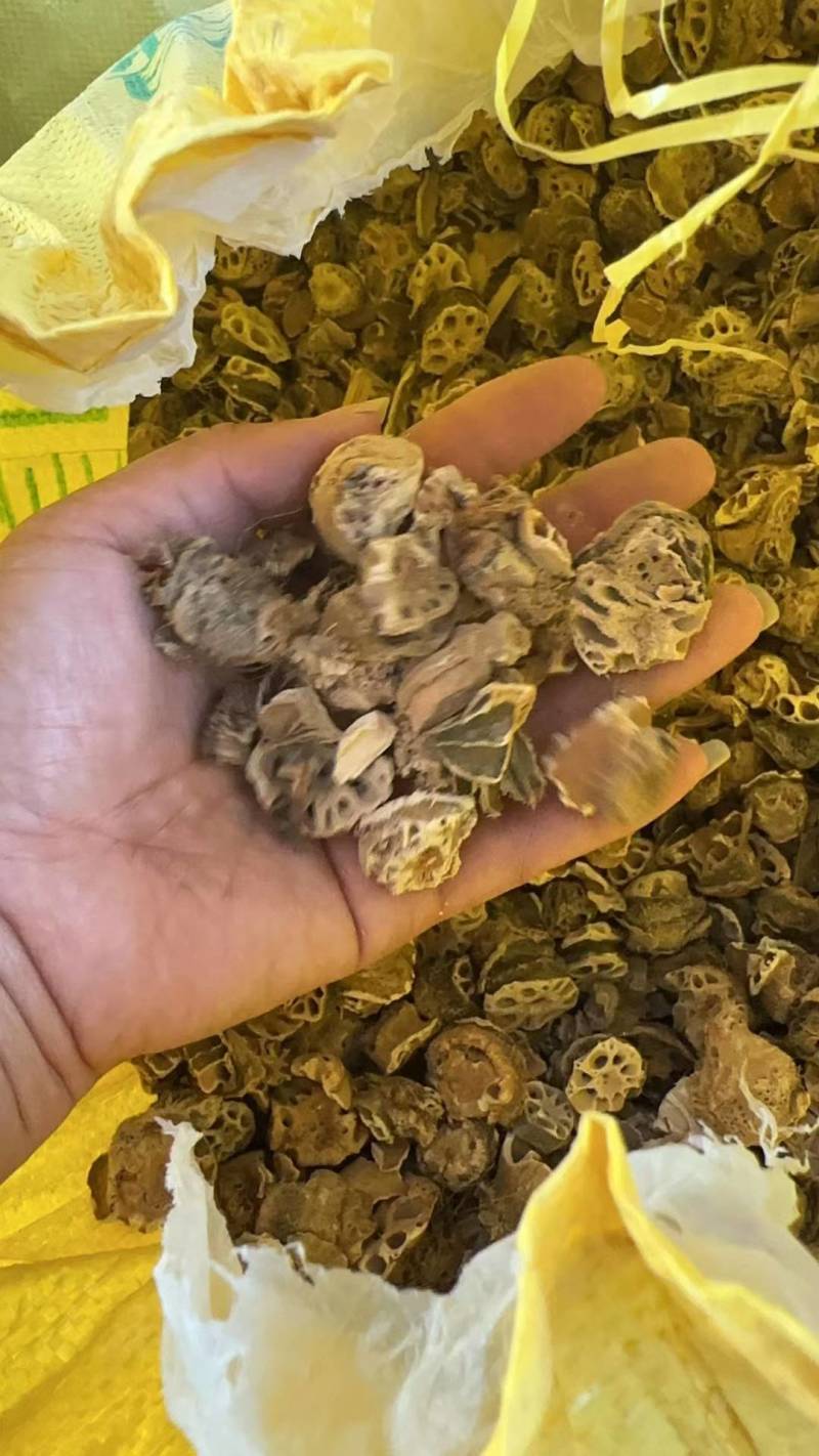 藕节，去须，干藕节中药材