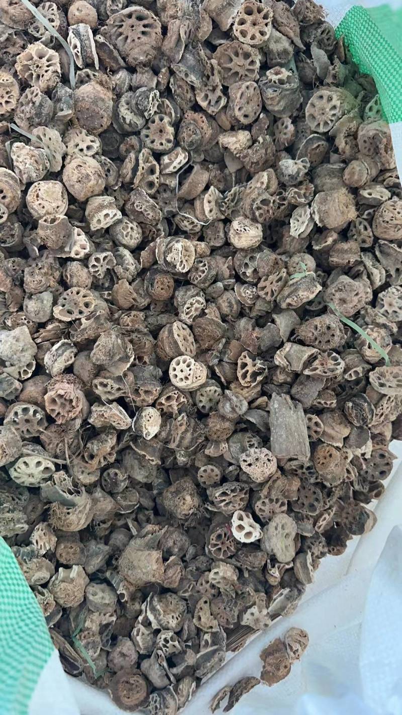 藕节，去须，干藕节中药材