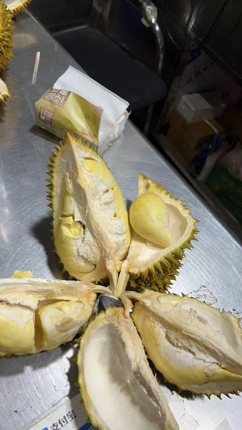 金枕巴掌，大量上市，批发
