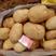 2024年白心丽薯土豆:质量保证个头薯型颜色三优。