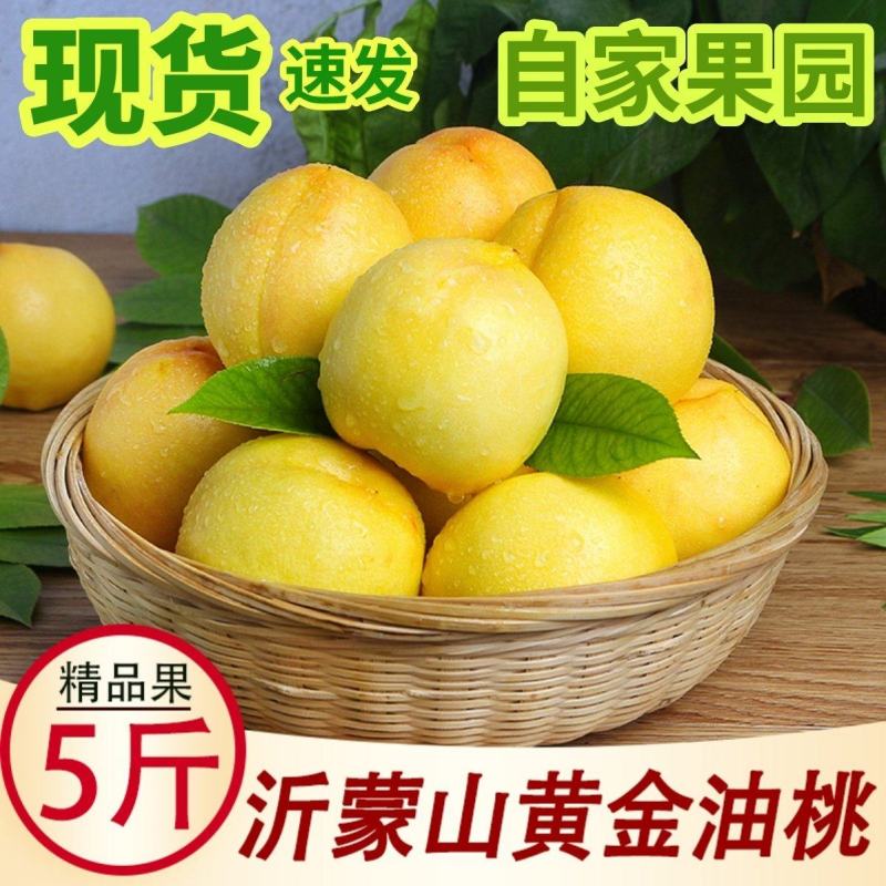 油桃新鲜水果当季整箱5斤包邮当季时令水蜜桃现摘现发黄油桃