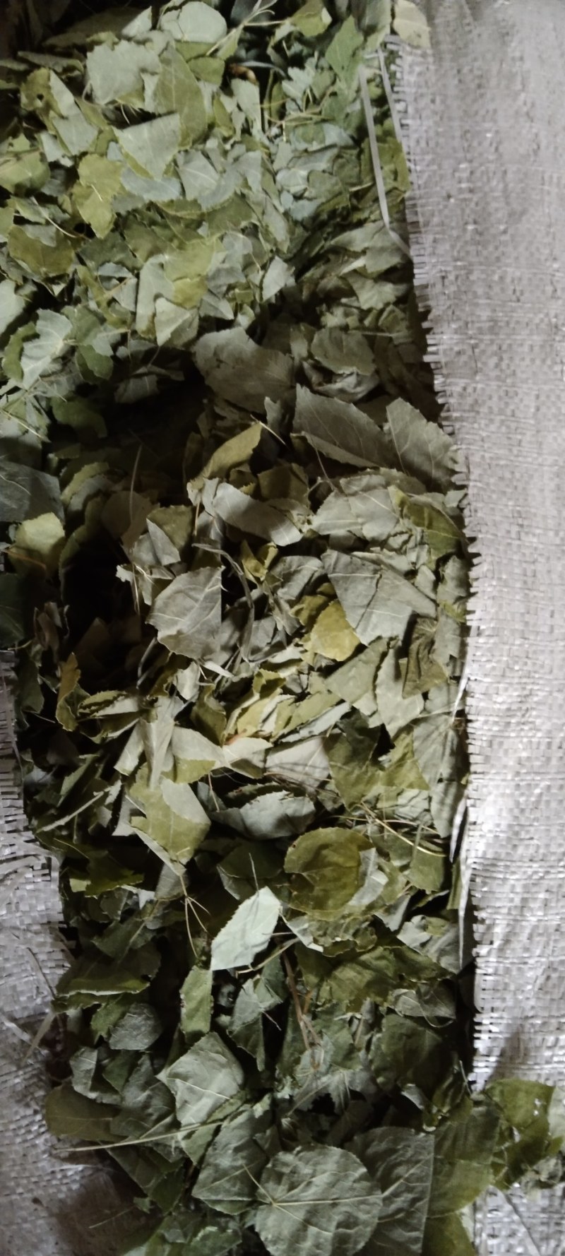 淫羊藿，大量现货，品质优良，产地直发，欢迎咨询合作。