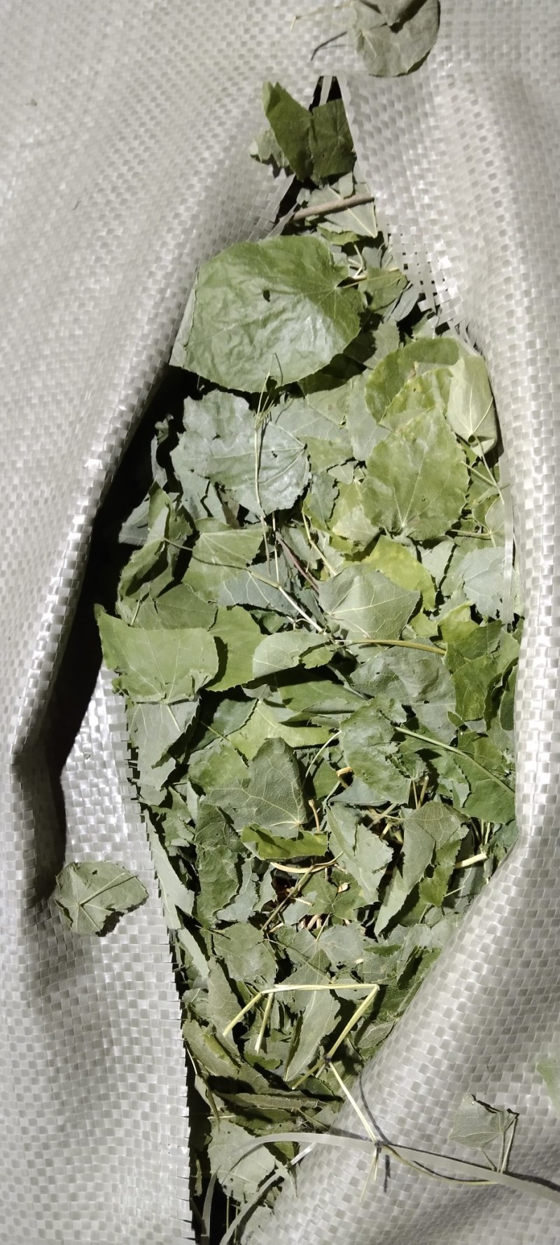 淫羊藿，大量现货，品质优良，产地直发，欢迎咨询合作。