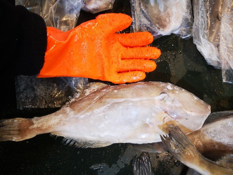 特大扒皮鱼马面鱼耗儿鱼老鼠鱼橡皮鱼剥皮鱼海鲜水产冷冻批发