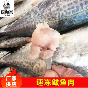 鲅鱼肉纯鲅鱼肉马鲛鱼厂家供应招代理商