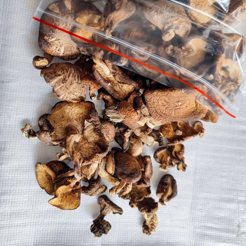 云南特产香格里拉野生香菇当季新货大货供应产地直发
