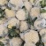 白面青梗松花菜2~3斤散花乳白，山东临沂产地直销