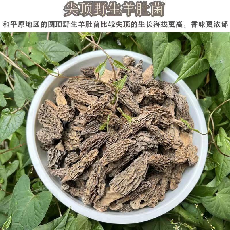 云南特产香格里拉黑脉野生羊肚菌煲汤食材野生菌新货产地直发