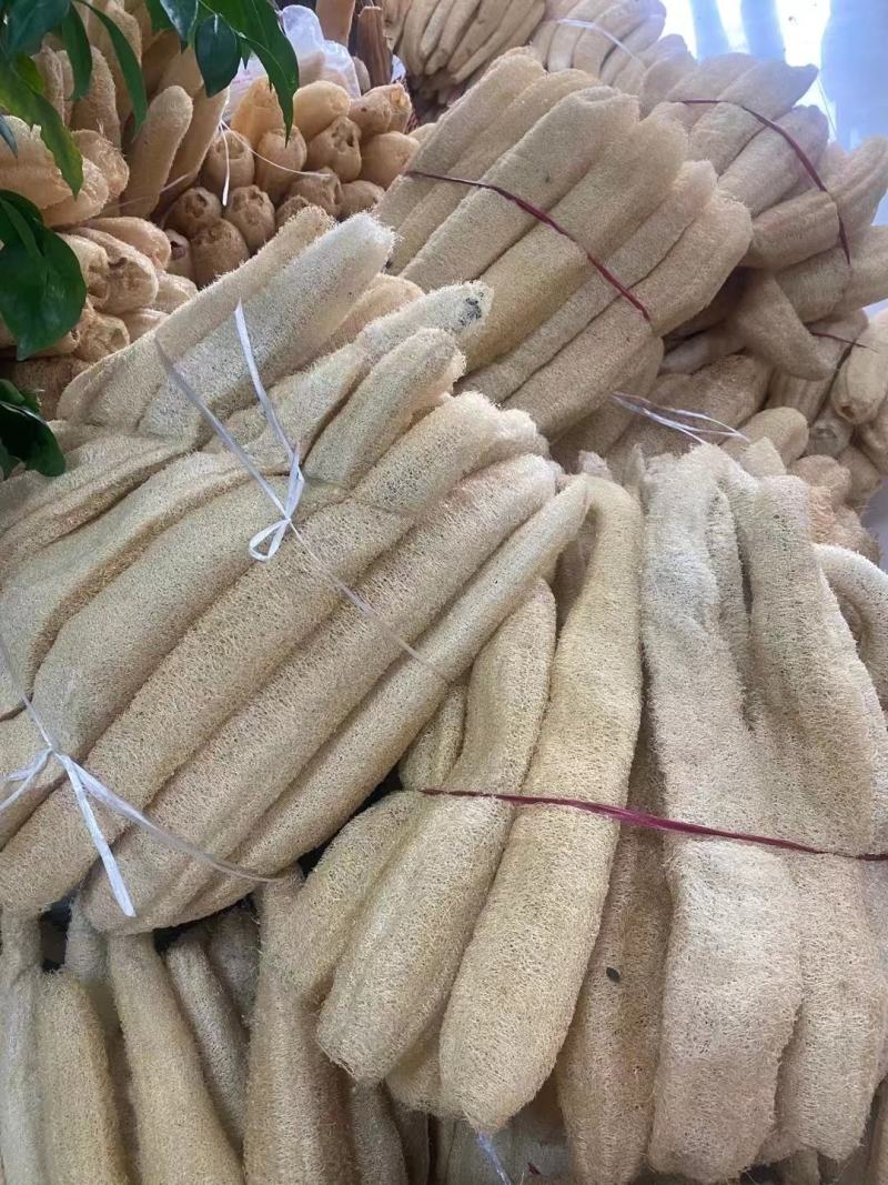 丝瓜络饮片丝瓜络无黑斑无霉的精选手挑产地直供