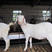白山羊纯种美国白山羊羊羔怀孕母羊羊苗种公羊包成活健康货到