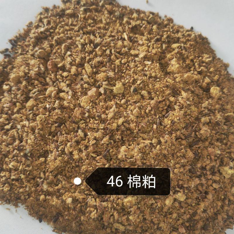 46棉粕