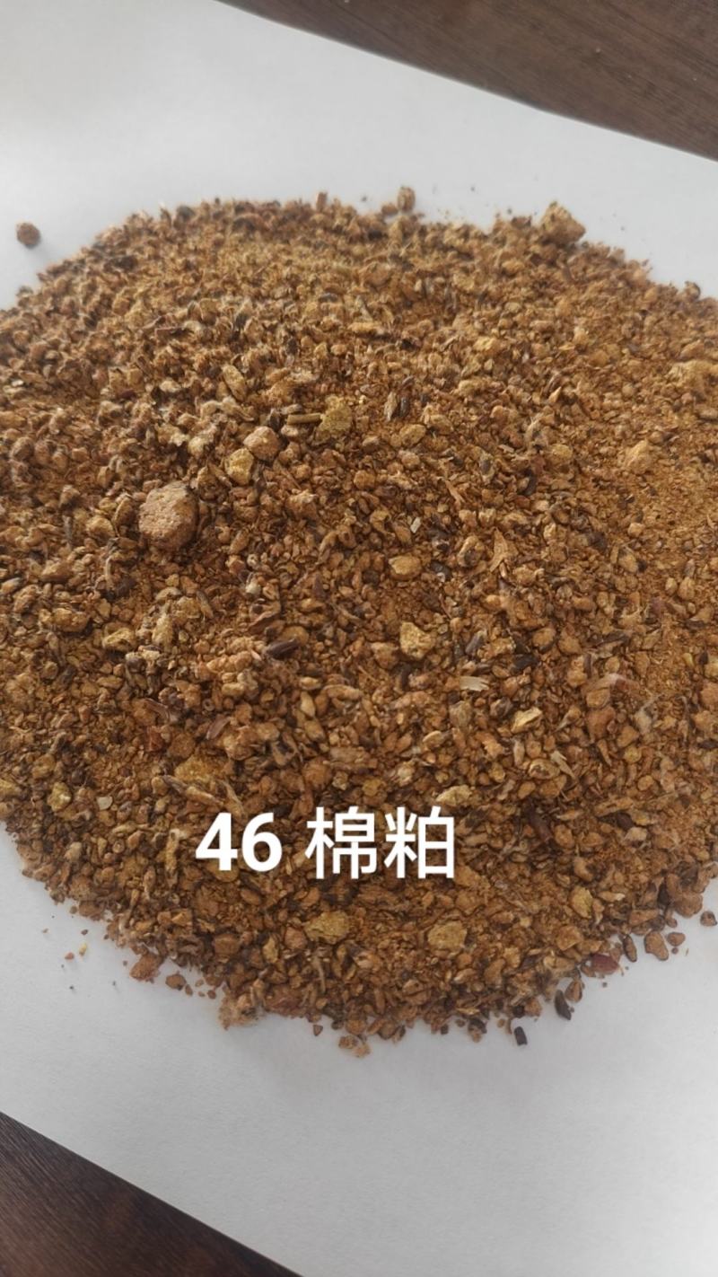 46棉粕