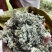 茵陈，2026年新货，人工手选，无杂质，干净。包邮