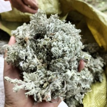 茵陈，2026年新货，人工手选，无杂质，干净。包邮