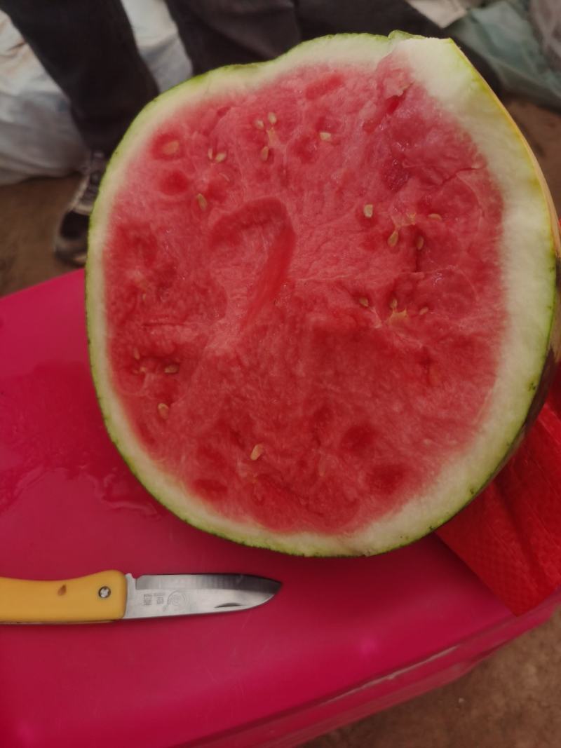 河南夏邑美都西瓜，价格不高，质量保证，，卢可全国代发