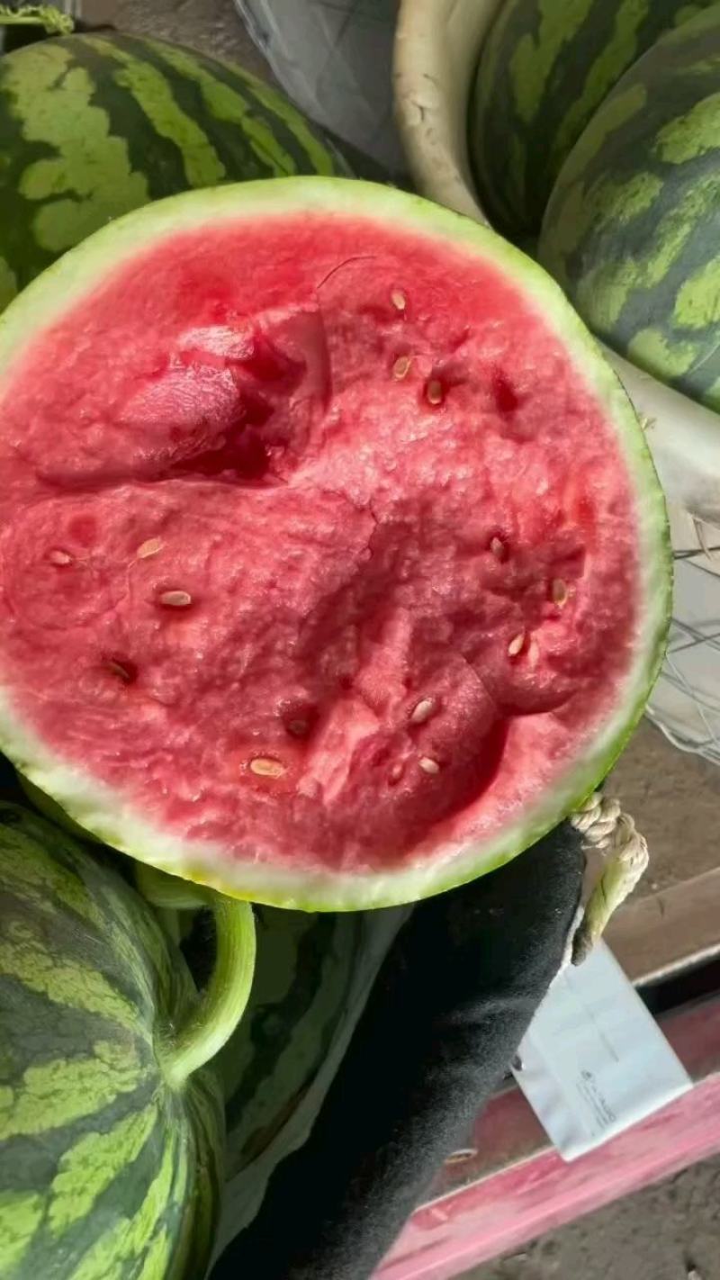 河南夏邑美都西瓜，价格不高，质量保证，，卢可全国代发