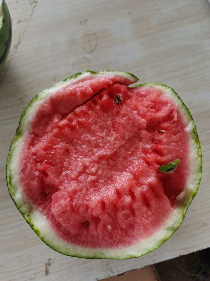 河南夏邑美都西瓜，价格不高，质量保证，，卢可全国代发