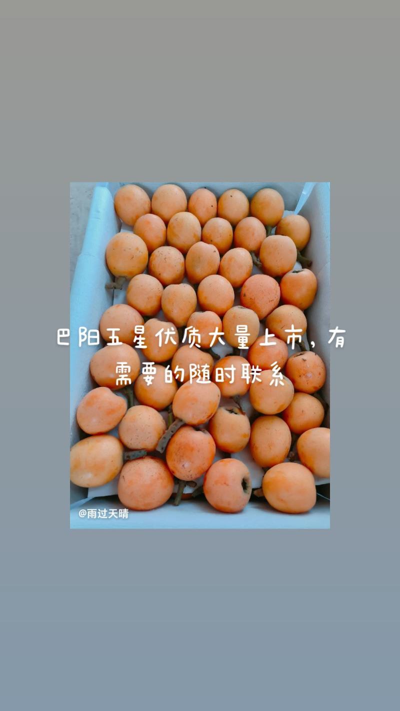 大5星
