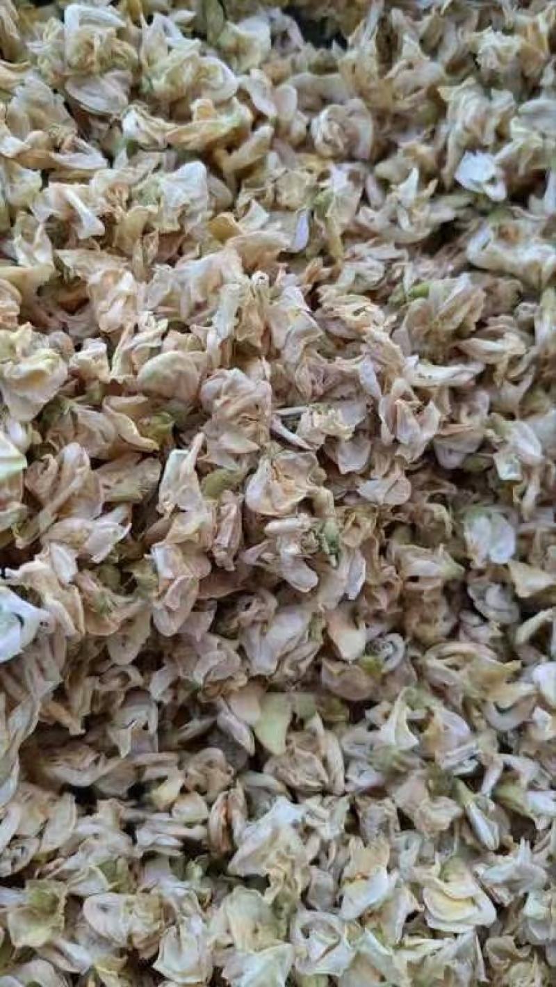 扁豆花干货常年经营各种中药材