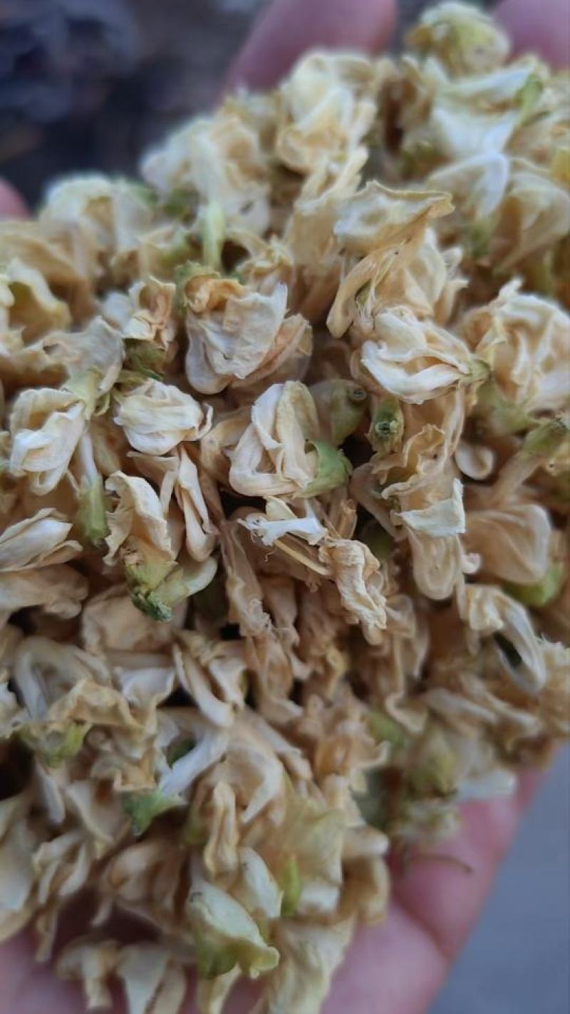扁豆花干货常年经营各种中药材