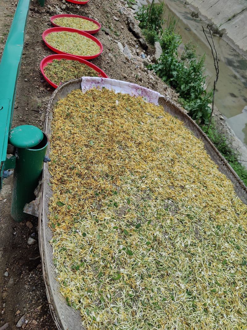 野生金银花，新货上市，欢迎各位老板选购