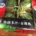 万亩大棚美都8424嘉年华711基地直发无中间环节