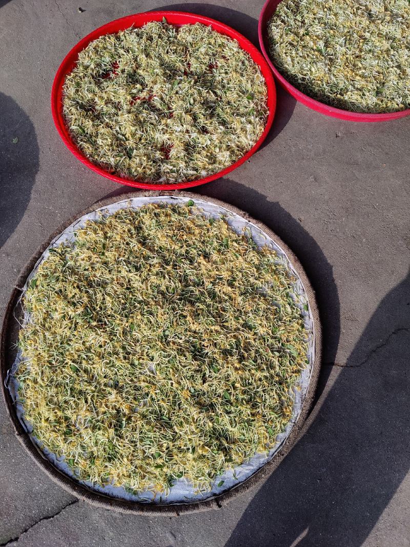 野生金银花，新货上市，欢迎各位老板恰谈