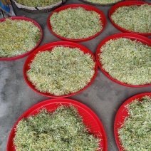 野生金银花，新货上市，欢迎各位老板恰谈