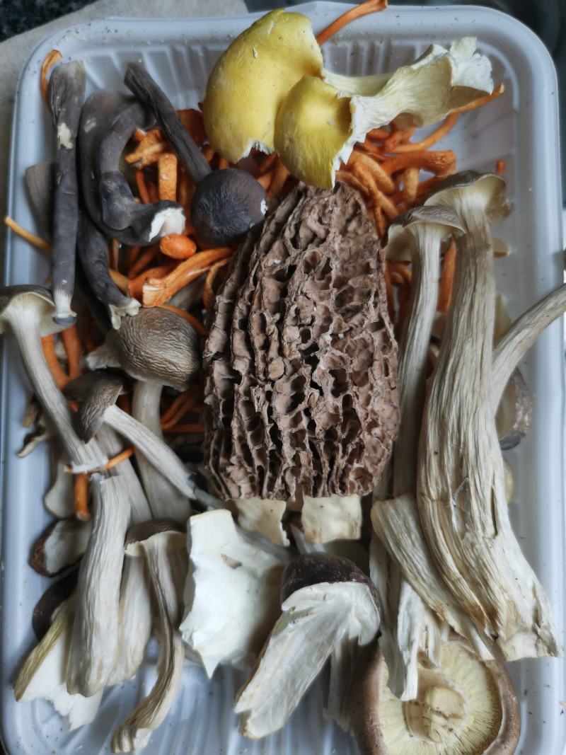 供应酒店食材云滇山珍冻干菌汤包云南菌汤包一箱起包邮