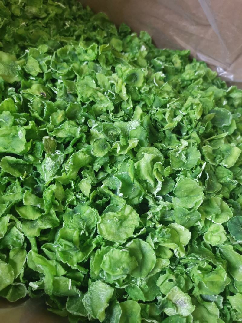 供应酒店食材素食2023年新莴笋干莴苣干上市现可视频看货