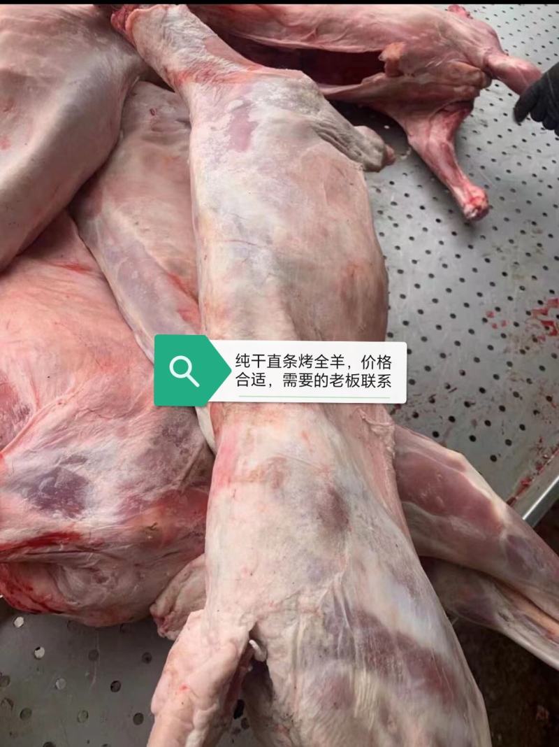 直条/窝冻烤全羊，每天大量生产烤全羊，货源充足，全国发货