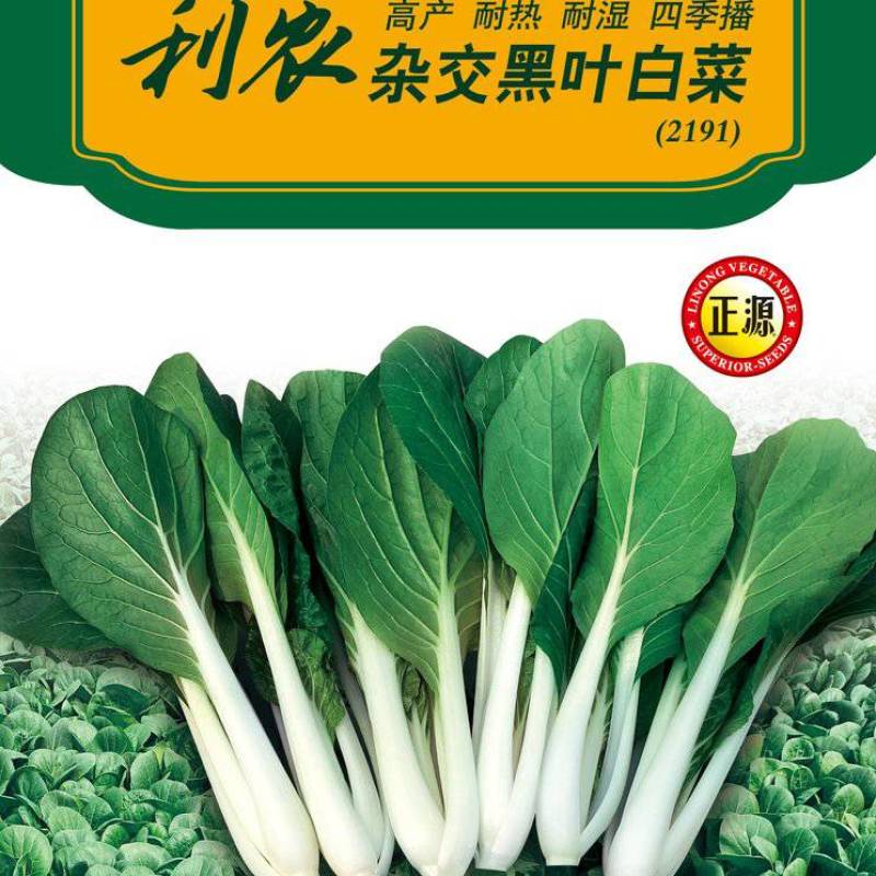 厂家直销黑叶白种子耐热耐湿抗病直立性好梗白叶片黑绿