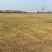 草坪基地百慕大，马尼拉，四季青，果岭草，多个基地