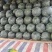 湖北万亩基地精品黑皮无籽西瓜大量供货对接各种平台产地供货