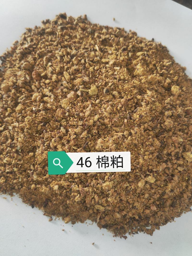 46棉粕